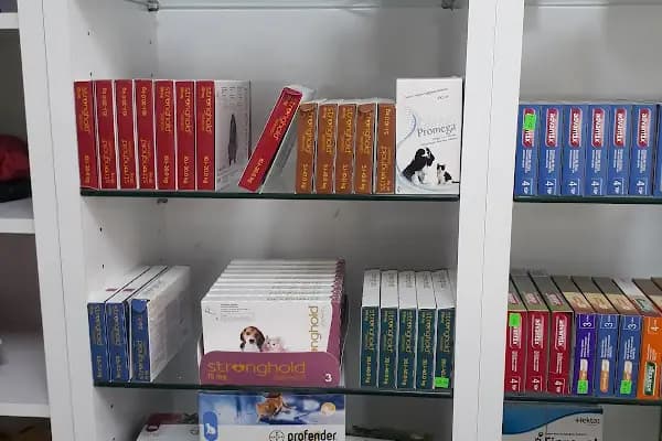 Veteriner Hekim Ersin Gümüş - Hayvan Hastanesi - İstanbul Arnavutköy