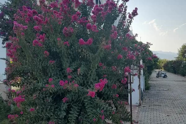 Altınçay Tatil Sitesi - Konut Geliştirme - Mersin Anamur