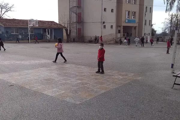 Zeytinova İlköğretim Okulu - Okul - İzmir Aliağa