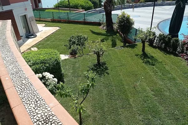 Birlik Rulo Çim (Hazır Rulo Çim Üretici Firma) - Peyzaj Malzemeleri Satıcısı - İstanbul Arnavutköy