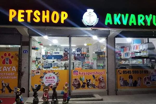Kaya Akvaryum Petshop - Akvaryum Mağazası - Ankara Altındağ