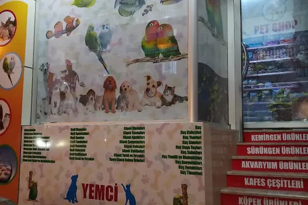 Selçuk çiçekçi &amp; Petshop - Akvaryum Mağazası - İstanbul Bağcılar