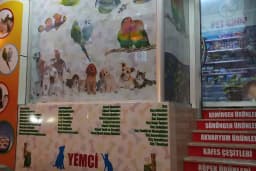 Selçuk çiçekçi &amp; Petshop