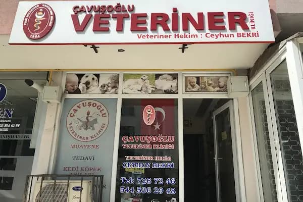 ÇAVUŞOĞLU VETERİNER KLİNİĞİ - Veteriner - Tekirdağ Kapaklı