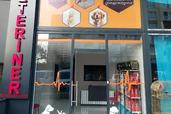 ALVİN 7/24 kedi-köpek ,kuş ve egzotik veteriner kliniği - Veteriner - İstanbul Maltepe