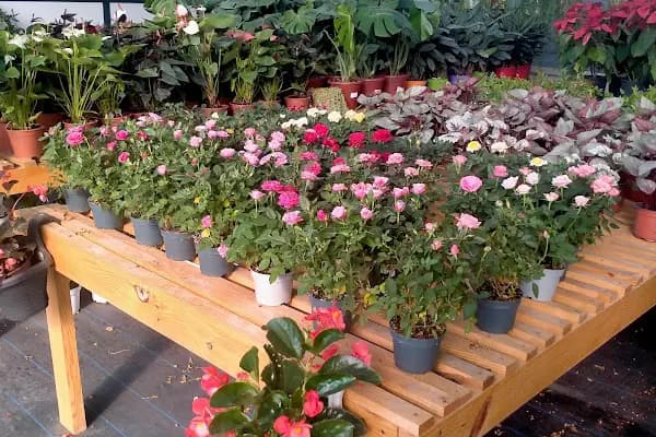 Aksu Ticaret - İlgi Çekici Yer - Antalya Muratpaşa