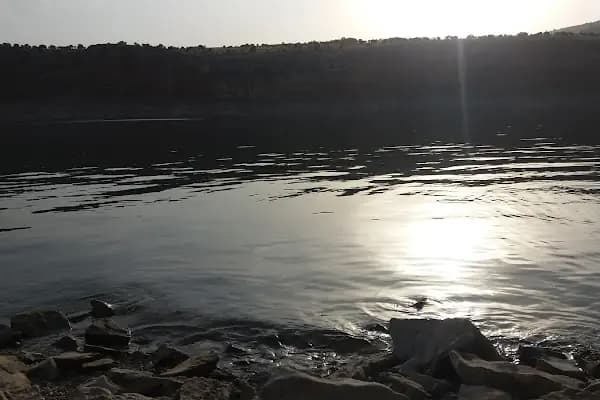 Taşoluk Peronlar - Otobüs Terminali - İstanbul Avcılar