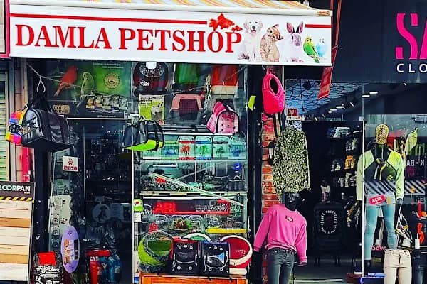 Damla Pet Shop - Evcil Hayvan Malzemeleri Mağazası - İstanbul Esenler