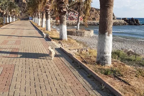 HUZUR PANSİYON - Doğa Köşkü - Mersin Aydıncık