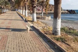 HUZUR PANSİYON