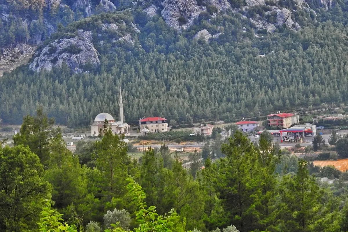 Ulusal Orman