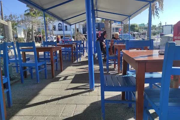 Turgutreis balıkçı kafe - Kafe - Muğla Bodrum