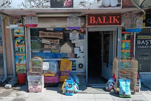 Hira petshop - Kuşçu - İstanbul Eyüpsultan