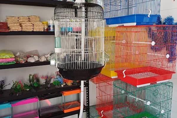 Evcil Dostlar Petshop - Evcil Hayvan Malzemeleri Mağazası - Adana Çukurova