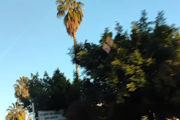 Liman B kapı - Liman İşletmesi Şirketi - Mersin Akdeniz