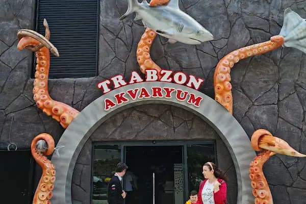 Salih Trabzon Akvaryum Pet Shop Galerisi - Evcil hayvan mağazası - Trabzon Ortahisar
