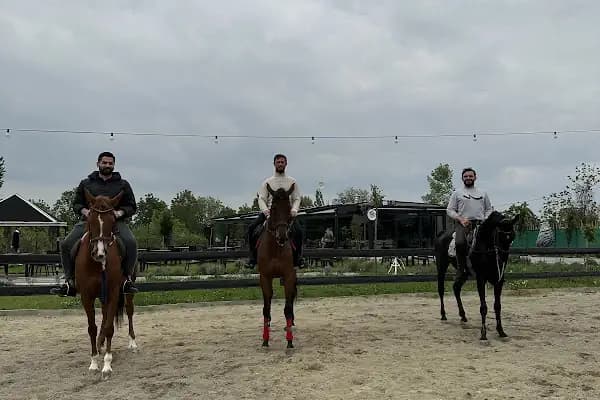 Trioat binicilik atlı spor kulübü - At Binme Hizmeti - Bursa Nilüfer