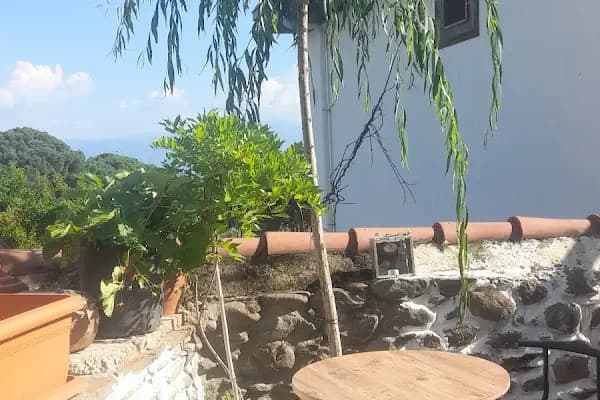 İzzet Efendi zekiye hanım pansiyon taş konak birgi. - Otel - İzmir Ödemiş