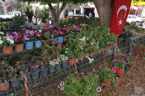 Maranda'A Çiçekçilik - Çiçekçi - Muğla Bodrum