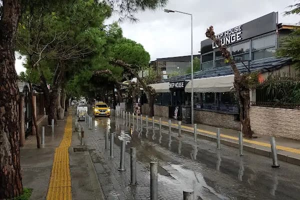 Öğretmen Evleri Sokağı Vali Rahmi Bey - Yürüyüş Alanı - İzmir Gaziemir