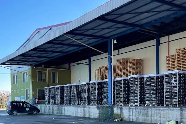 HACIBEY SULTAN İTHALAT İHRACAT TİC LTD ŞTİ - Soğuk Hava Deposu Tesisi - Bursa Nilüfer