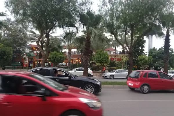 RoyalCert Çukurova - Kurumsal Ofis - Adana Seyhan