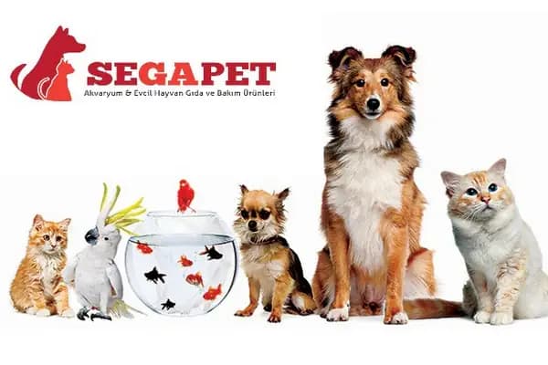 SEGAPET AKVARYUM SAN. TİC. LTD. ŞTİ. - Akvaryum Mağazası - İstanbul Arnavutköy