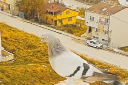Arnavutköy Cemevi