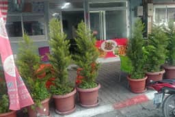 NARİN SANDAVİÇ DÜNYASI VE IZGARA SALONU