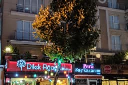 Dilek Ağacı