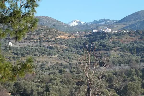 Olukbaşı İlkokulu - Okul - Aydın Bozdoğan