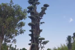 Eksper Peyzaj İzmir