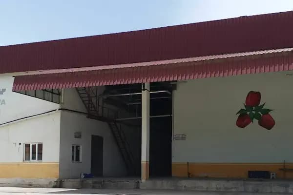 Niyazi Akdeniz Soğuk Hava Tesisi - Tarım Kuruluşu - Antalya Elmalı