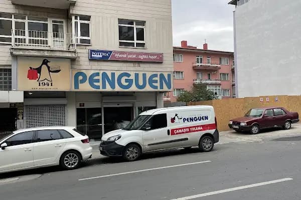 Penguen Kuru Temizleme - Çamaşır Yıkama Hizmeti - Ankara Çankaya