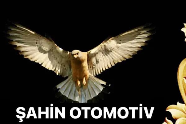 Şahin Auto Mardin - Oto Galeri - Mardin Kızıltepe