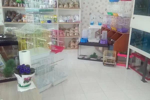 Aydoğan Petshop - Evcil Hayvan Malzemeleri Mağazası - Ankara Altındağ