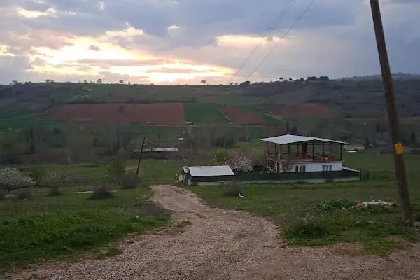 Mahmudiye Mahallesi Muhtarlığı - Resmi Kurum - Bursa Nilüfer
