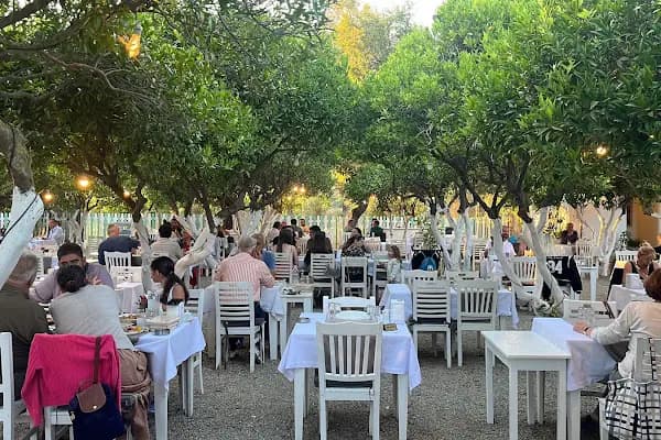 Geremeli Cafe &amp; Restaurant Köy Kahvaltısı - Kahvaltı restoranı - Muğla Bodrum