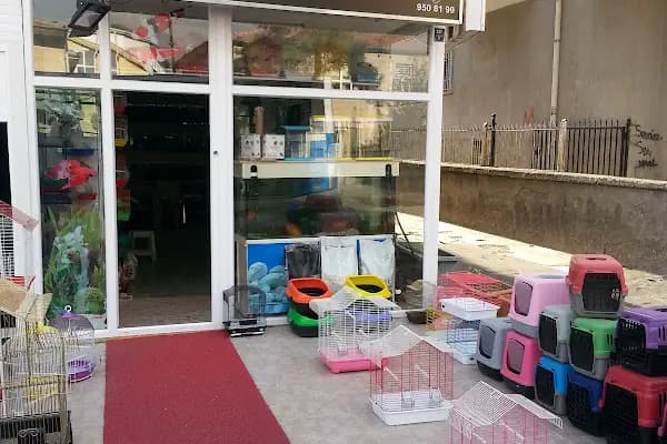 Can Pati Petshop - Evcil hayvan mağazası - Ankara Etimesgut