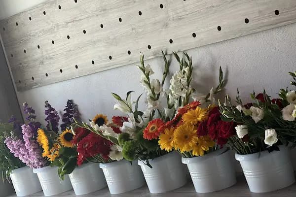 Flowershop - Çiçekçi - Antalya Aksu