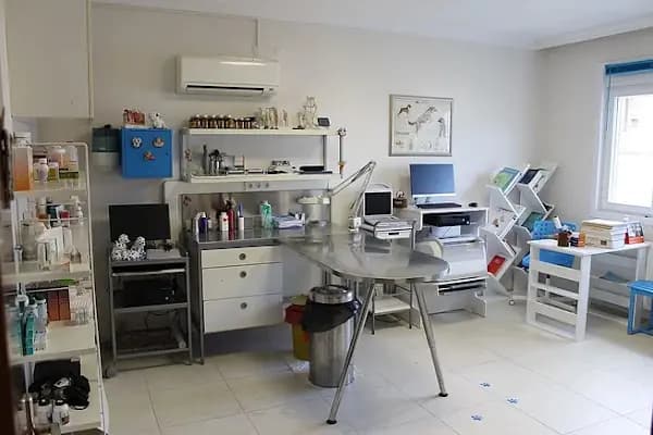Mavişehir Veteriner - Acil Durum Veterinerlik Hizmeti - İzmir Karşıyaka