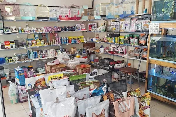 Arı Petshop - Evcil hayvan mağazası - Bursa Yıldırım