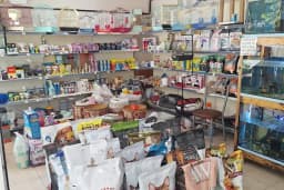 Arı Petshop