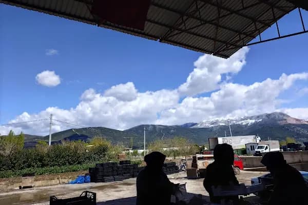 GENCER PREMİUM MEYVELER - Soğuk Hava Deposu Tesisi - Bursa Gürsu