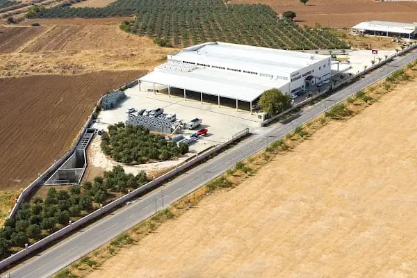 Güven Asa Zeytinyağı Üretim Tesisi - Gıda Üreticisi - Balıkesir Altıeylül