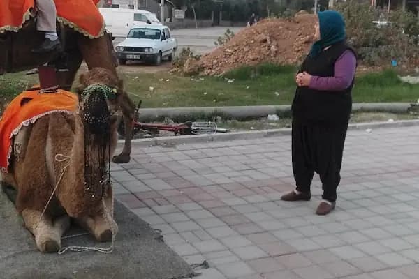 Çocuk Parkı - Park - Adana Ceyhan