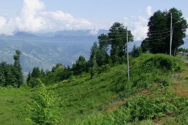 Çocuk Parkı - Park - Trabzon Akçaabat