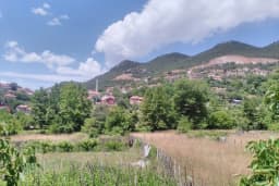 Bademli