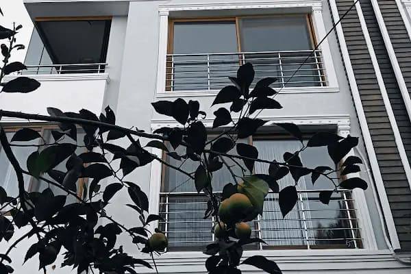AMERICAN STORY İngilizce Yaşam Alanı - Kurumsal Ofis - Adana Çukurova