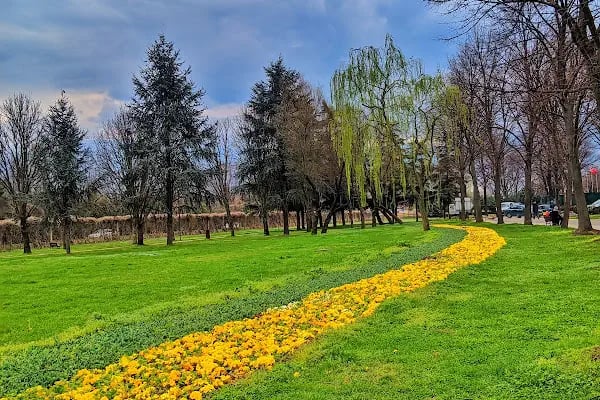 Erdem Saker Botanik Parkı - Resim 9